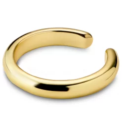 Helix | 1/8" (3 Mm) Gold-tone Ear Cuff