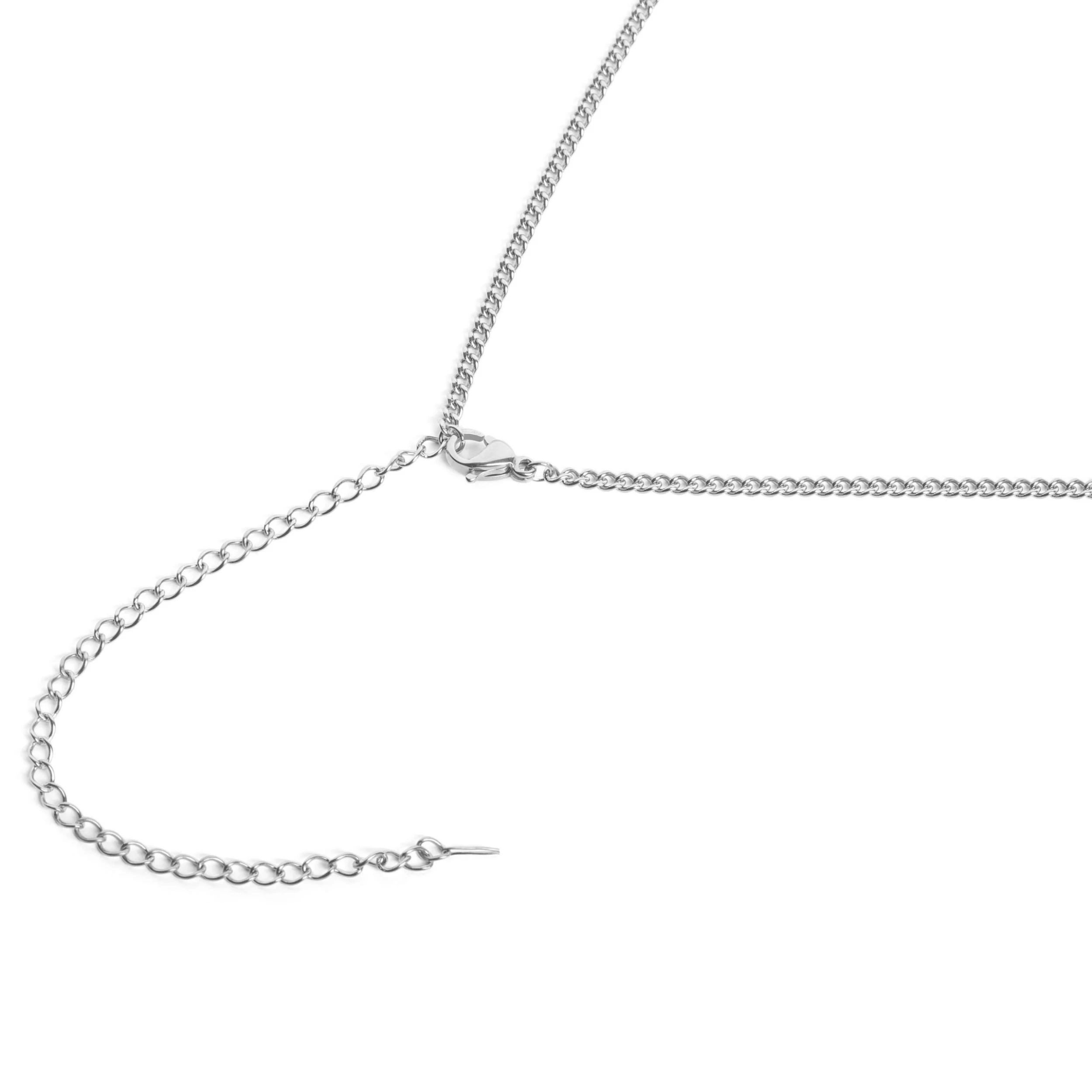 Iconic | Silver-Tone Stainless Steel Wolf Tooth Curb Chain Necklace - Image 4