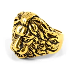 Gold-Tone & Black Stainless Steel Lion's Head Ring