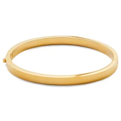 Arie | Gold-Tone Stainless Steel Bangle Bracelet