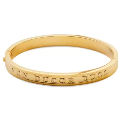 Arie | Gold-Tone Stainless Steel Duco Bangle Bracelet